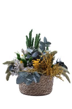 Magnífica cesta de fibra natural de flores secas y preservadas en tonos verdes