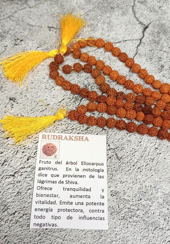 Mala de Rudraksha