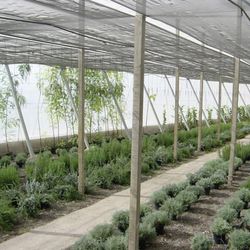 Malla de sombreo negra ocultación 70%