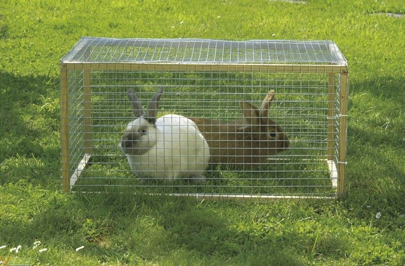 Malla metálica de 1x5m