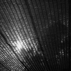 Malla sombreadora LISTA Malla Sombr.Neg.2X100M.