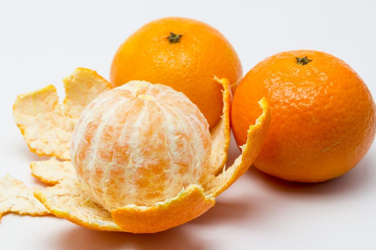 Mandarino Clemenules, clementina de Nules