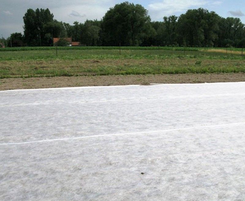 Manta térmica para cultivos