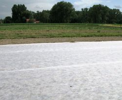 Manta térmica para cultivos