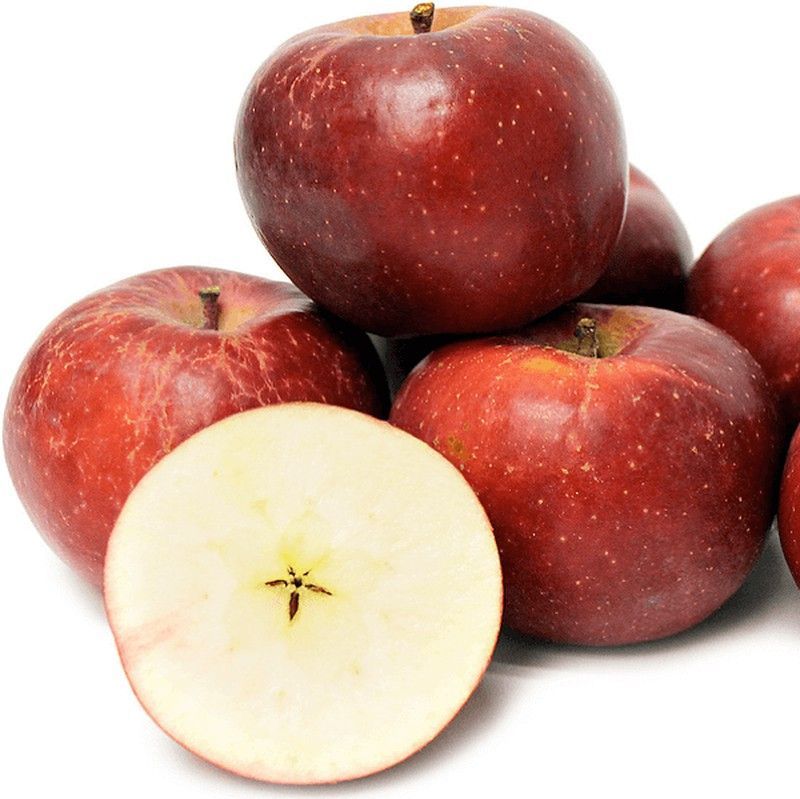 MANZANO BELLEZA DE ROMA Malus domestica 6/8 C-25