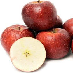 MANZANO BELLEZA DE ROMA Malus domestica 6/8 C-25