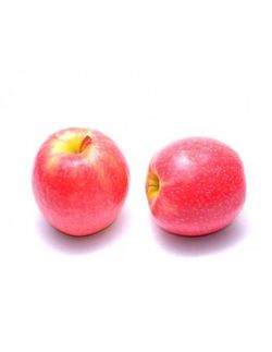 Manzano Dama Rosa C-24  ITALIA