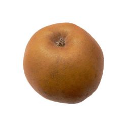 MANZANO REINETA GRIS Malus domestica 6/8 C-25