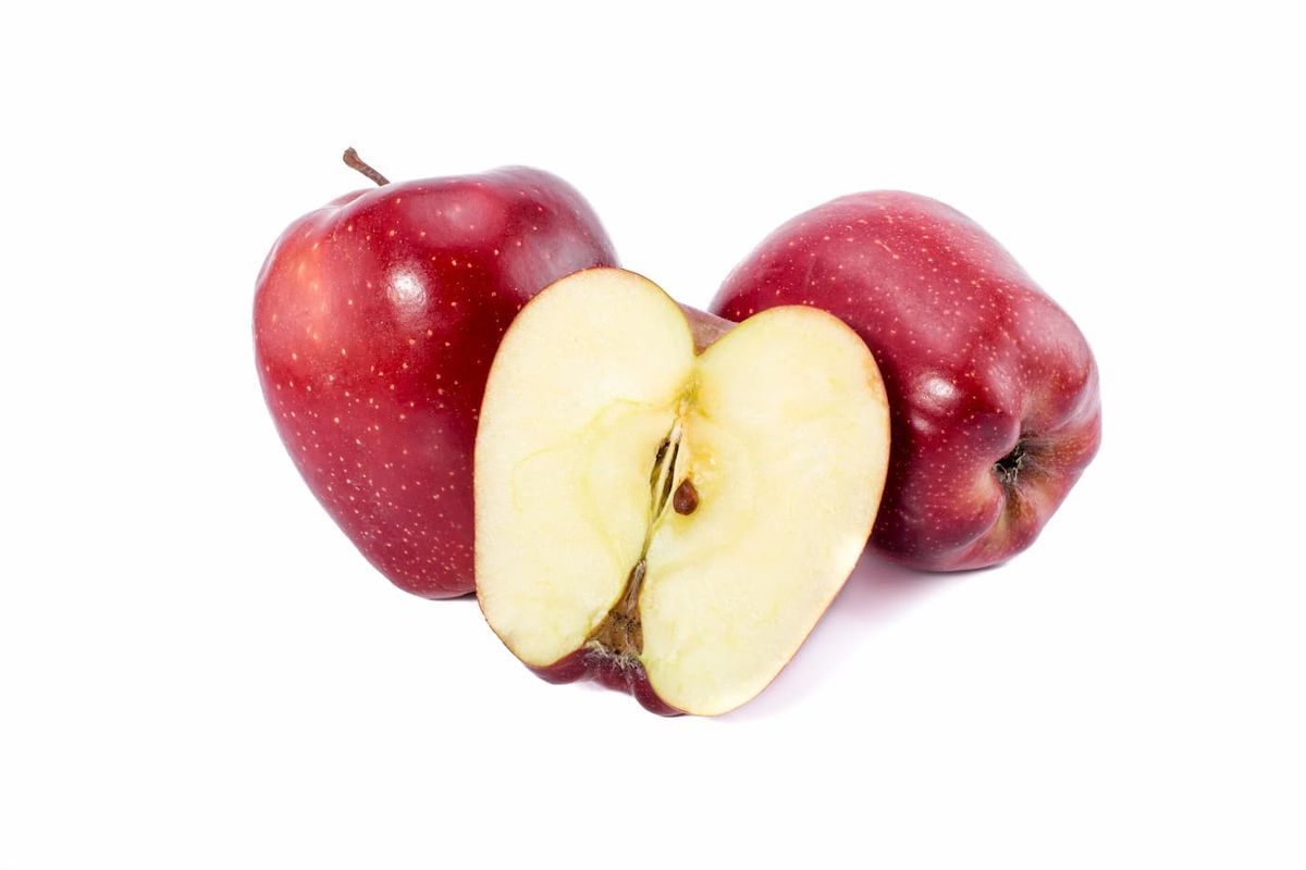 Manzano rojo Red chief en cepellón