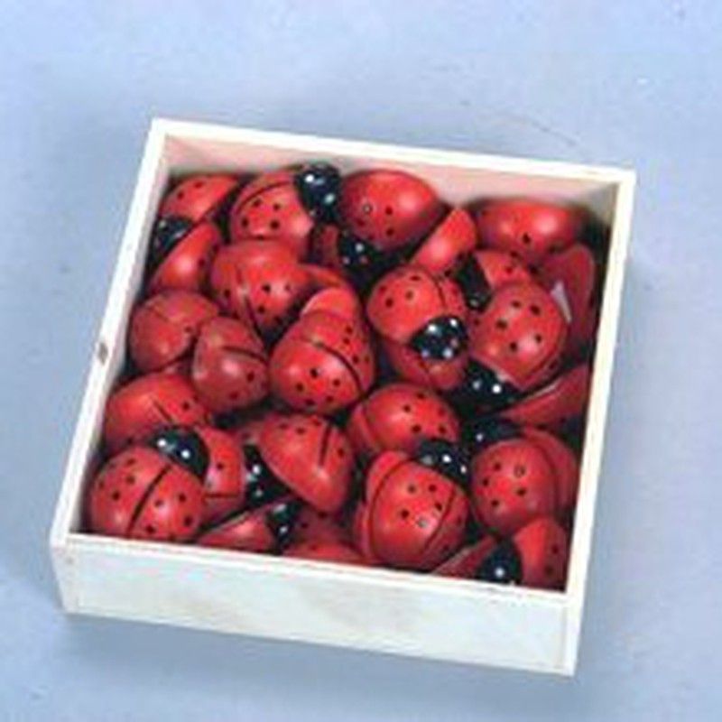 Mariquitas Adhesivas (40 unidades)