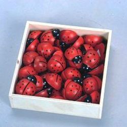Mariquitas Adhesivas (40 unidades)
