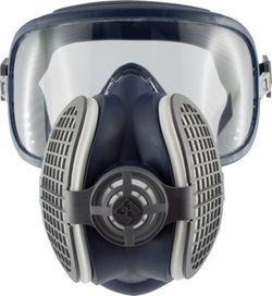 Mascara Facial Panoramic 2F P3