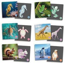 Maxi-memory Animales vertebrados y su esqueleto