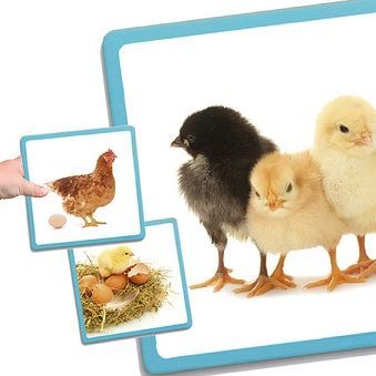 Maxi-secuencias naturales