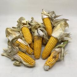 Mazorcas Maiz Decorativas