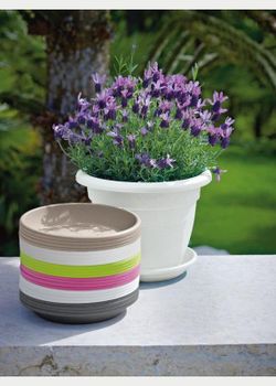 Medea Plato 24 Cm. Varios Colores