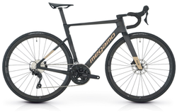 Megamo Pulse 20 (2025)