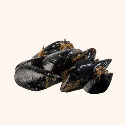 Mejillón de roca del Delta