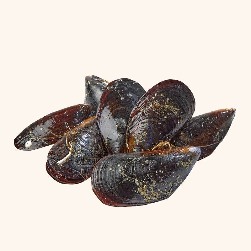 Mejillón gallego extra (500gramos)