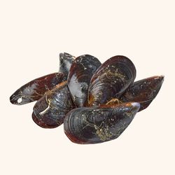 Mejillón gallego extra (500gramos)