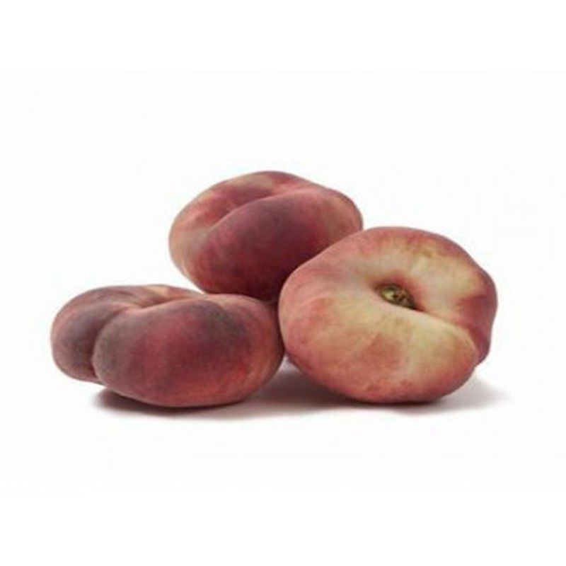 Melocoton Paraguayo Delfin Prunus persica 6/8 C-25