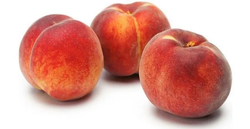 Melocoton Springbelle C-24 ITALIA