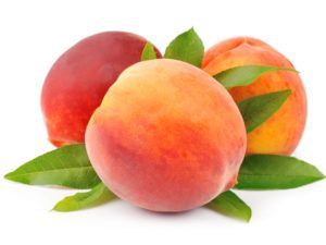 Melocoton Suncrest C-24 ITALIA