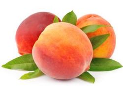 Melocoton Suncrest C-24 ITALIA