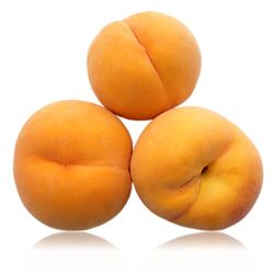 Melocotonero de Calanda