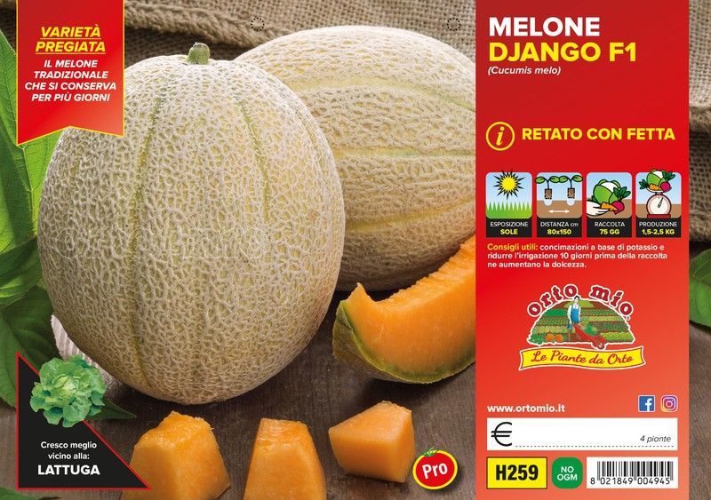 Melón Magnificenza 4 Plantas En Pack