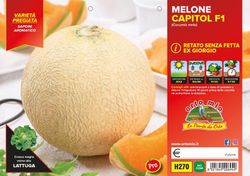 Melón Rayado Sin Rodaja Capitol 4 Plantas en Pack