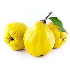 Membrillo de Pera C-24  ITALIA