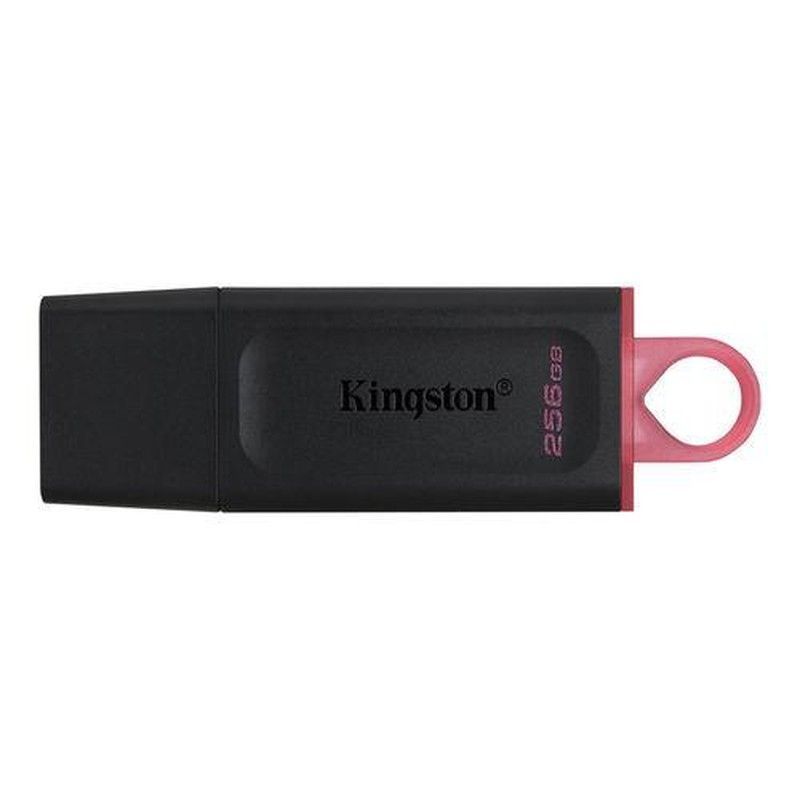 Memoria USB KINGSTON Datatraveler Exodia 256 Gb