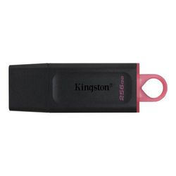 Memoria USB KINGSTON Datatraveler Exodia 256 Gb