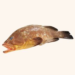 Mero limpio y entero. 2kg