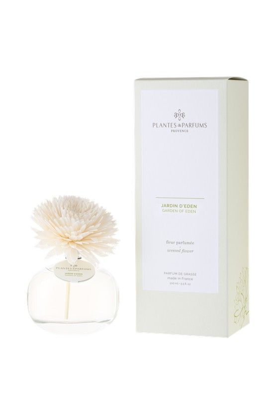 Mikado Aromas Flor 100 Ml Jardin del Edén Plantes & Parfums
