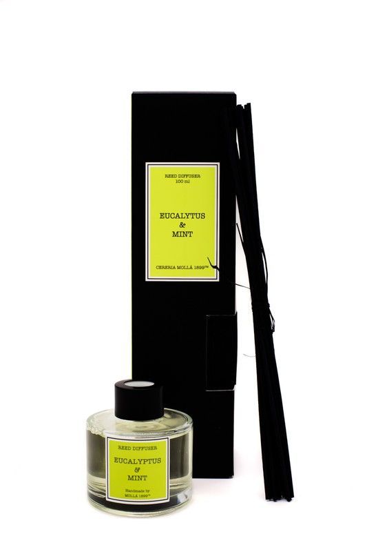 Mikado Santiago 100 ml. Eucalyptus & Mint. Colección Santiago CERERIA MOLLA 1899.