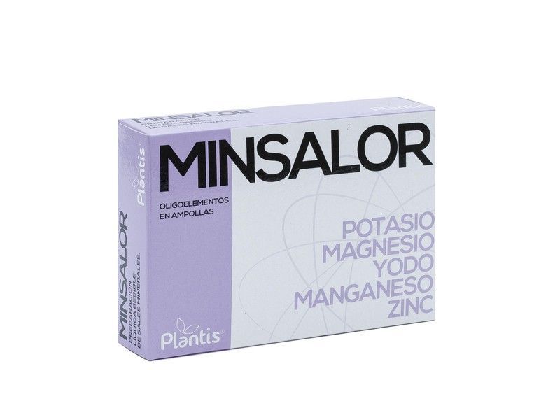 Minsalor 20 Amp