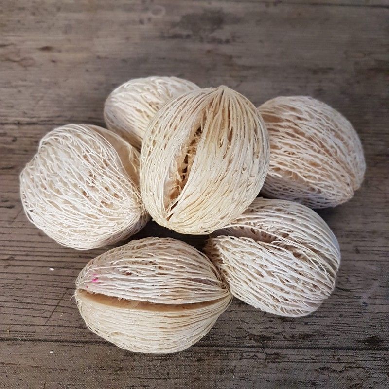 Mintola Cocos Blanco