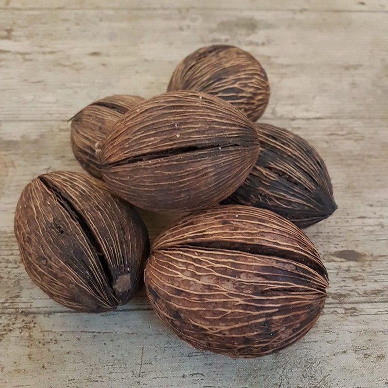 Mintola Cocos Oscuros