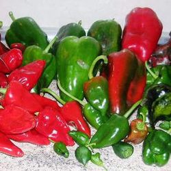 Mix Plantel Pimientos