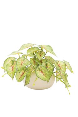 Moderna planta artificial de Syngonium Tendril