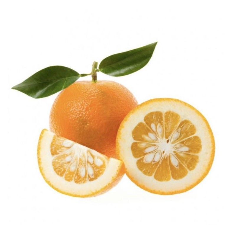 Naranjo Amargo o Agrio (Citrus × aurantium) Sin injertar