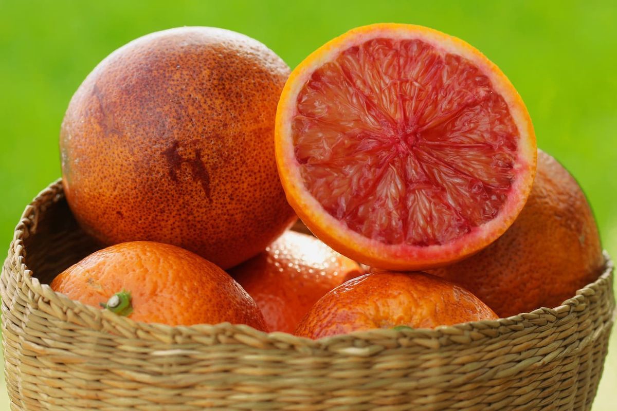 Naranjo sanguina - Citrus sinensis Sanguinelli