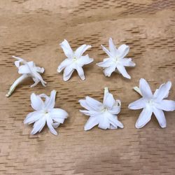 Nardos Preservados Caja 6 uds.