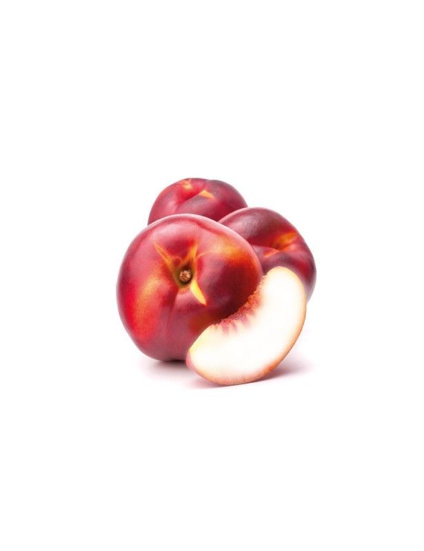 NECTARINA SNOW QUEEN Prunus persica var. nucipersica 6/8 C-25