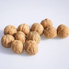 Nogal Lara C-24 ITALIA