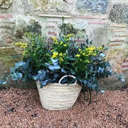 Pack D.I.Y. Cesta Mediterranea Amarilla