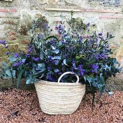 Pack D.I.Y. Cesta Mediterranea Lila