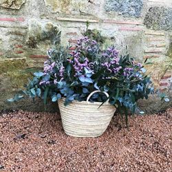 Pack D.I.Y. Cesta Mediterranea Rosa